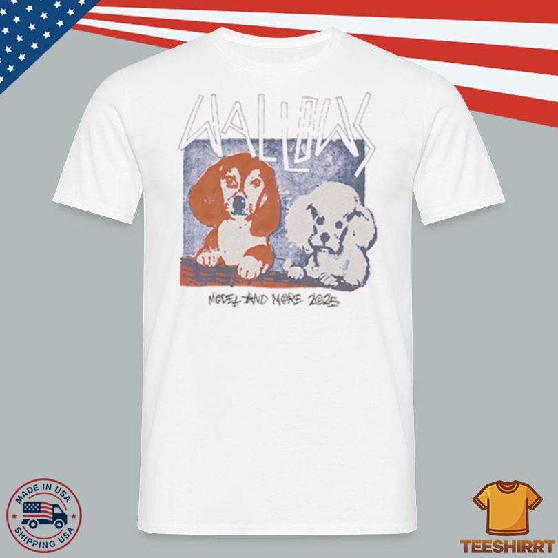 Wallows Bannd Model & More Tour 2025 Shirt