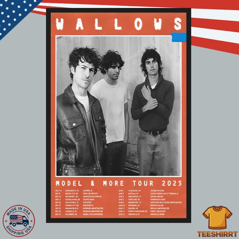 Wallows Model And More Tour 2025 Poster
