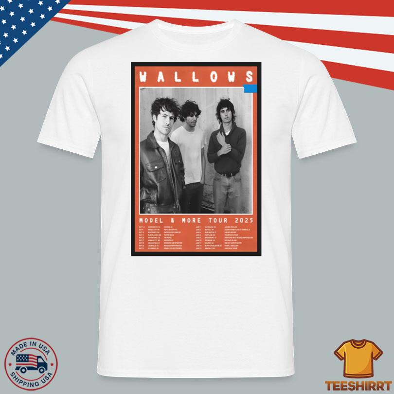 Wallows Model And More Tour 2025 Poster