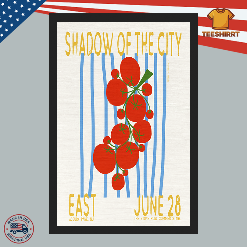 Bleachers Stone Pony Summer Stage June 28 2025 Poster