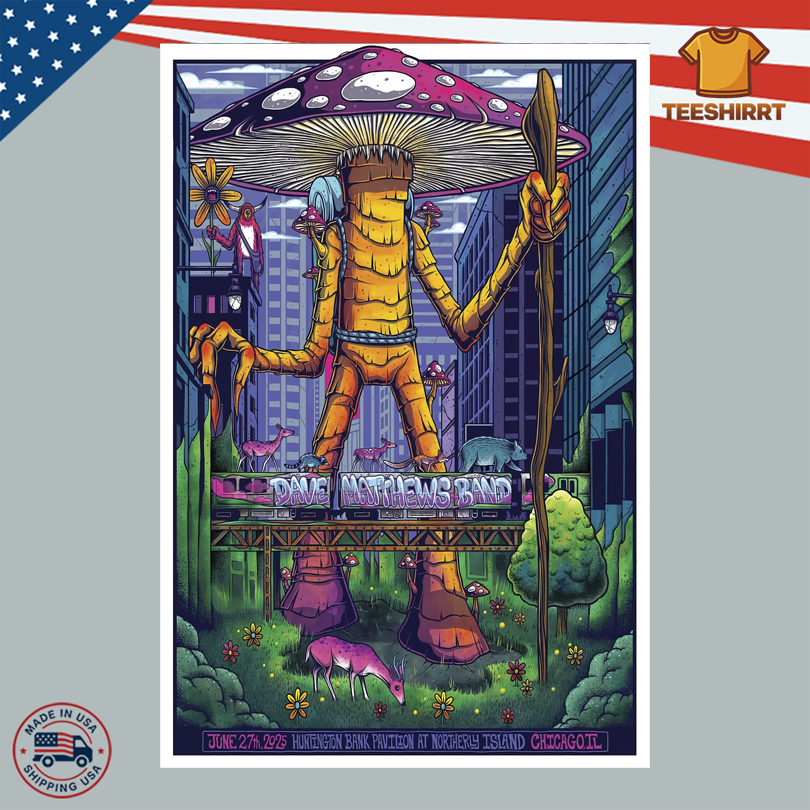 Poster Dave Matthews Band Huntington Bank Pavilion Chicago, IL 2025